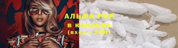 спиды Аркадак