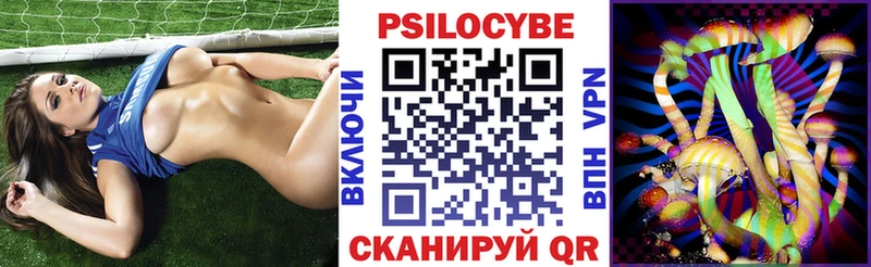 kraken ТОР  Асбест  Псилоцибиновые грибы Psilocybe 